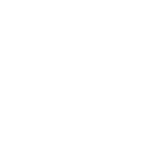 Prompting – format