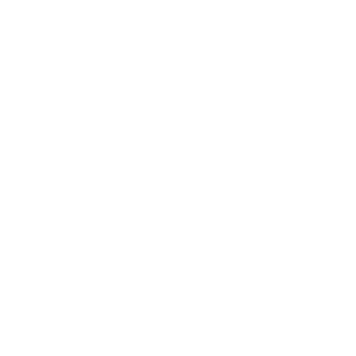 Prompting – format