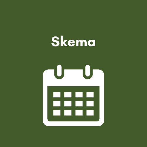 Skema