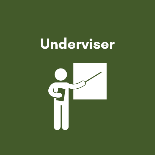 Undervisere
